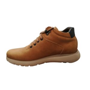 HIMALAYA-3164 - immagine 4